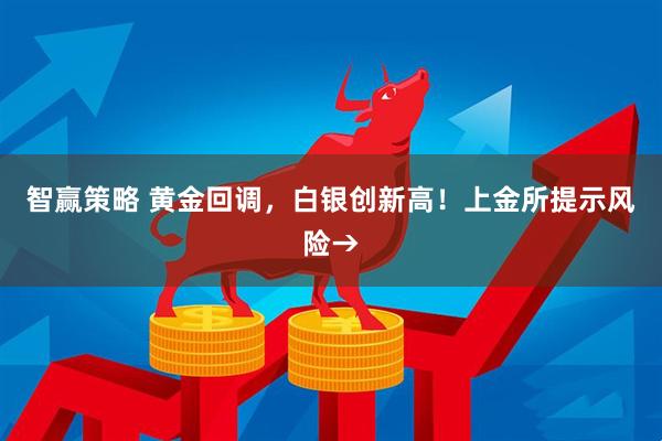 智赢策略 黄金回调，白银创新高！上金所提示风险→