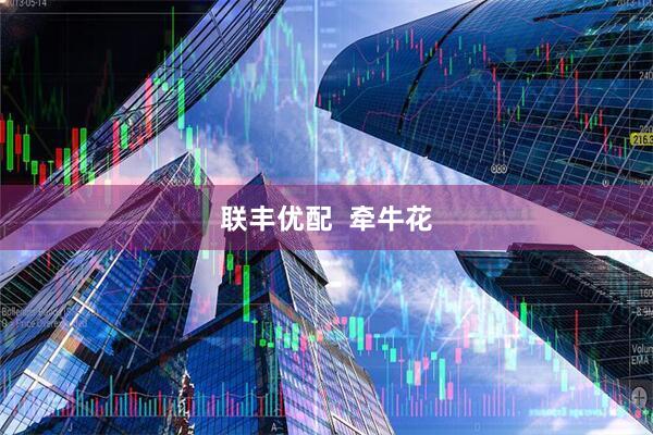 联丰优配  牵牛花