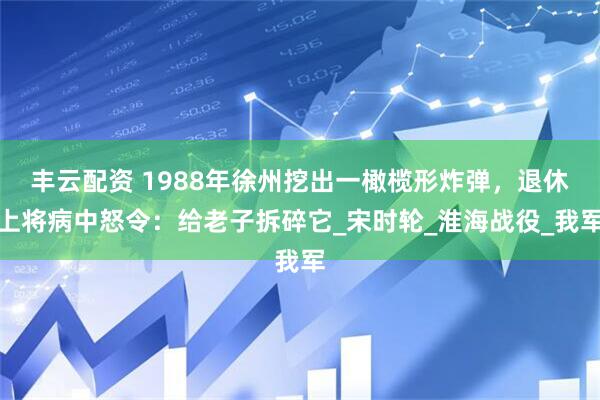 丰云配资 1988年徐州挖出一橄榄形炸弹，退休上将病中怒令：给老子拆碎它_宋时轮_淮海战役_我军